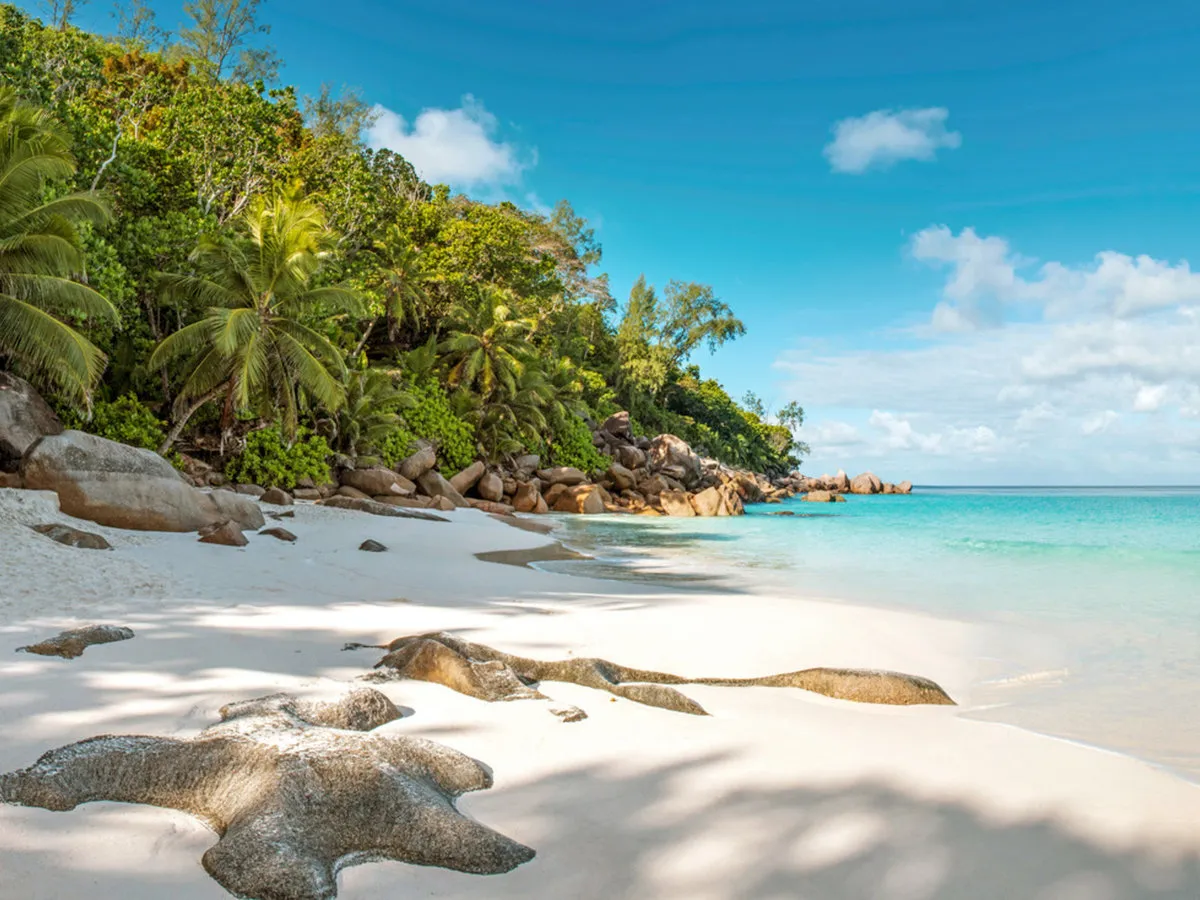Plaža Anse Georgette z belim peskom in granitnimi skalami