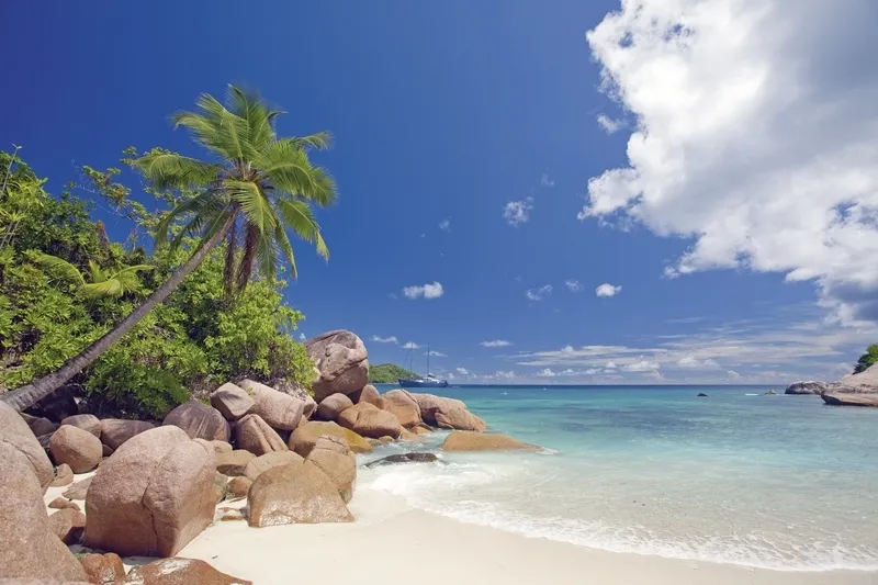 Sanjska plaža na Sejšelih s palmami in granitnimi skalami